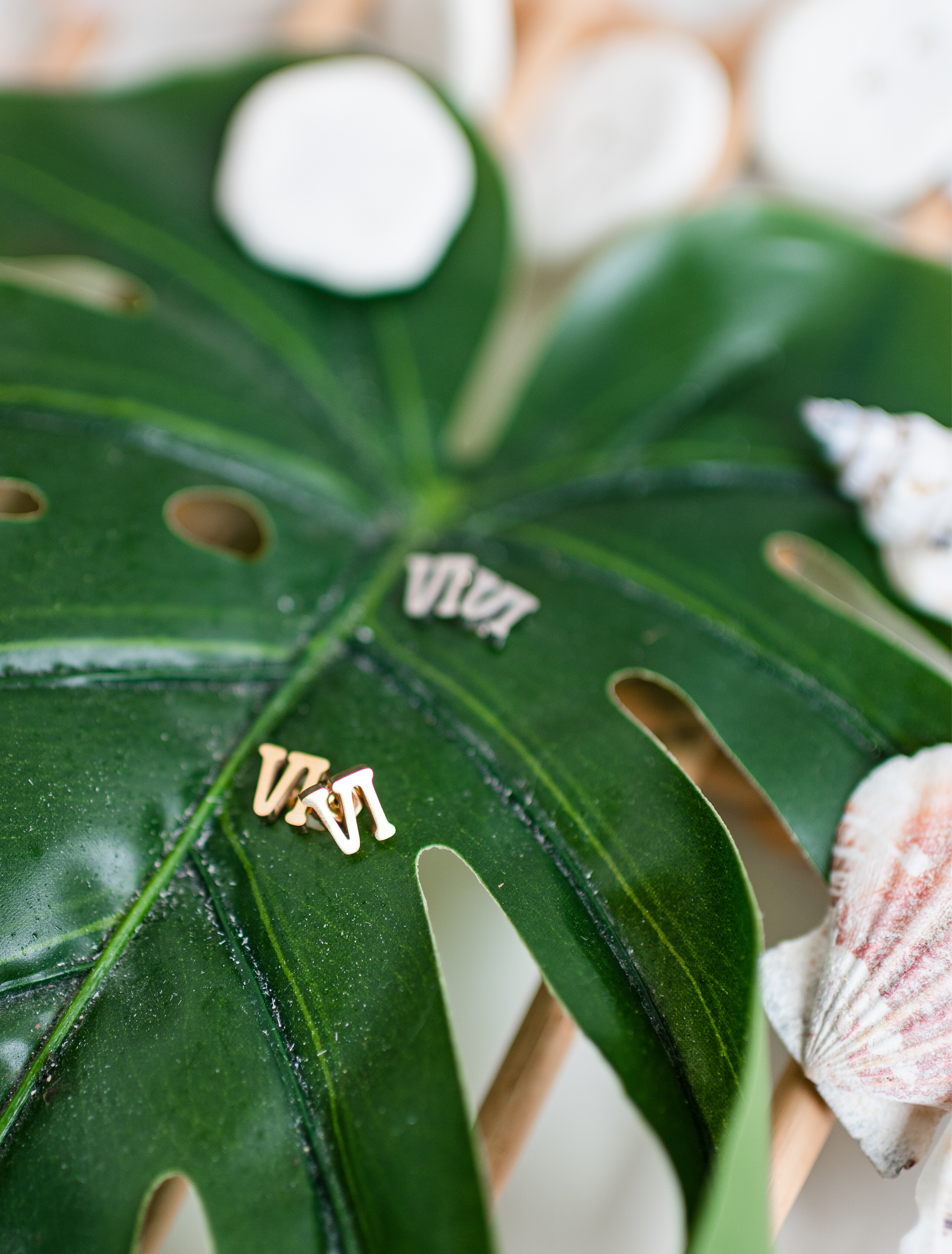 Virgin Islands Earrings